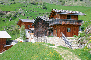 Hofschank Wald